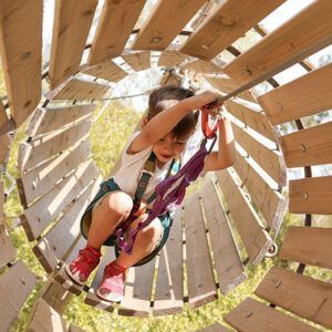 Maquetes + Bosc Animat